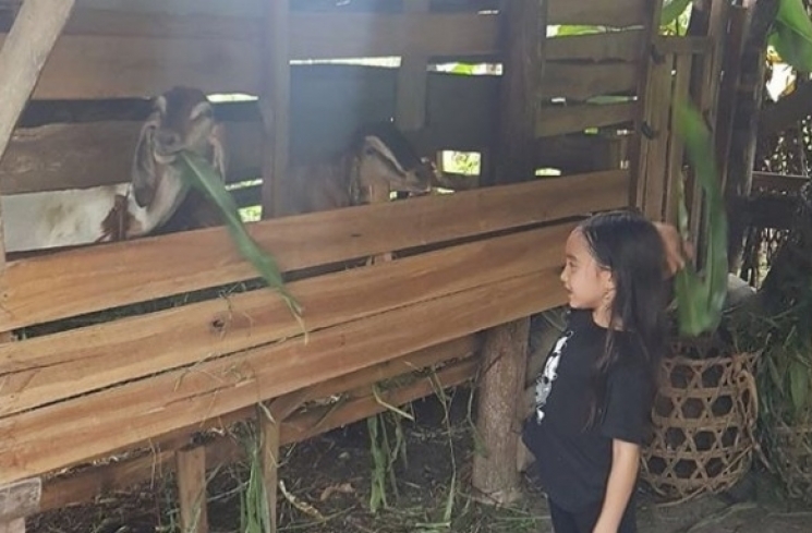 Anak Teuku Zacky terngah bermain bersama kambing. (Instagram)