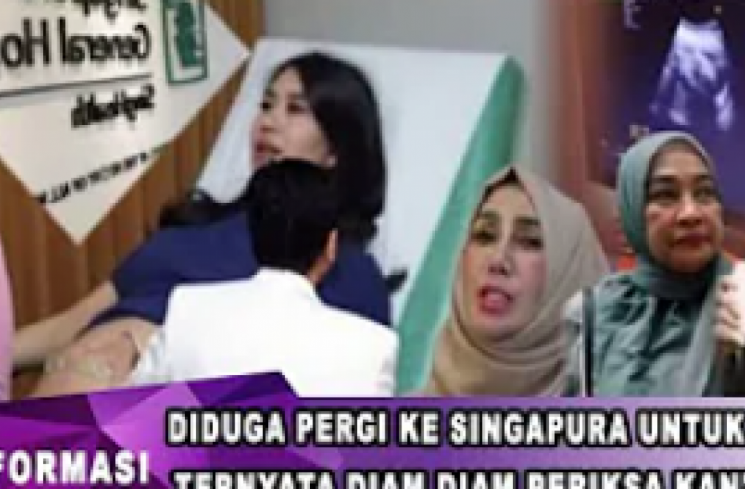 CEK FAKTA: Diduga Liburan Keluarga, Syahnaz Pergi ke Singapur Untuk Periksa Kehamilan?