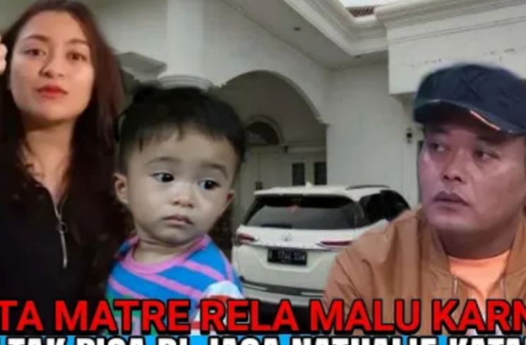 cek fakta Sule balas hinaan Nathalie Holscher (YouTube/Vemi Liar)