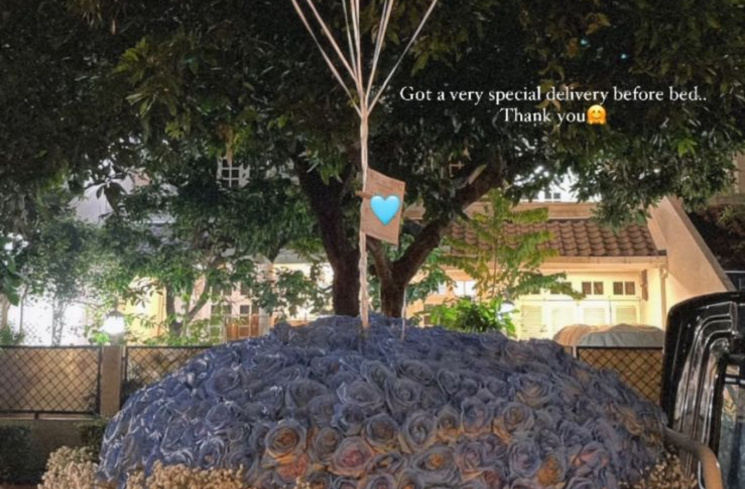 Aaliyah Massaid saat pamer kiriman seribu mawar biru dari sang pacar, Thariq Halilintar. (tangkapan layar/instagram) [Instagram.]