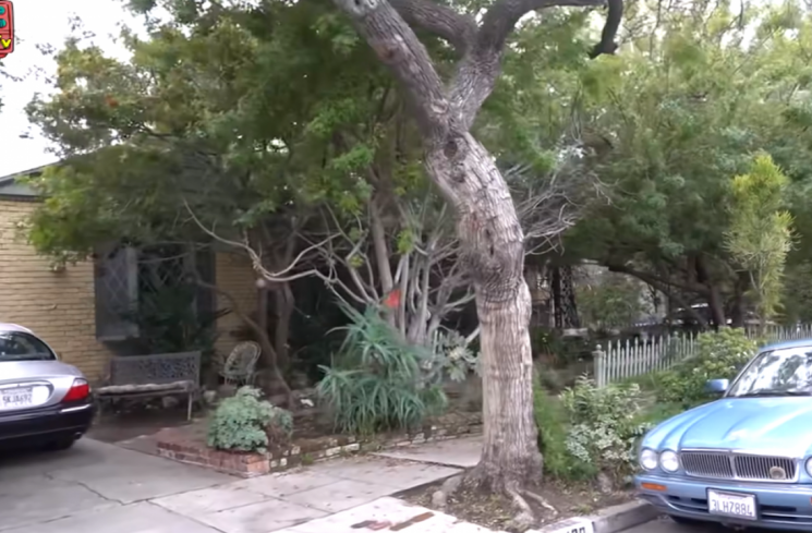 Rumah Irwan Mussry saat kecil di Los Angeles. [YouTube Maia AlElDUL TV]