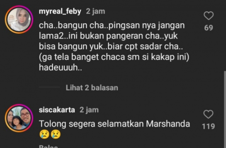 komentar warganet [instagram @lambe_danu]