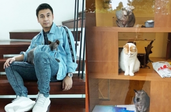 Obok-obok Rumah Mewah Raditya Dika, Kamar Kucingnya Itu Lho