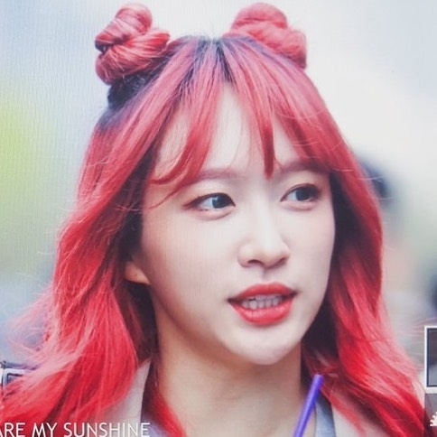 Hani