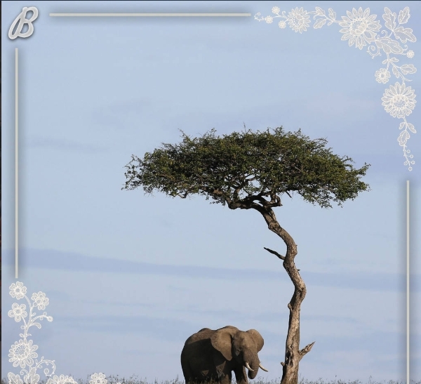 Botswana