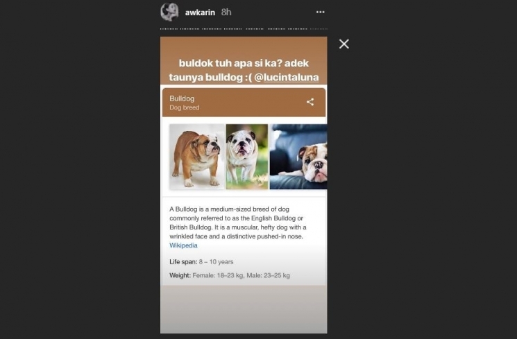Balasan Awkarin/instagram@awkarin