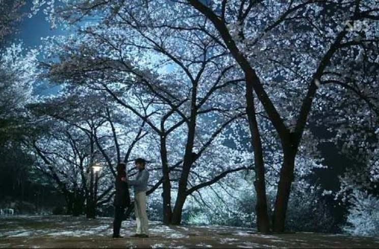 A Gentleman's Dignity