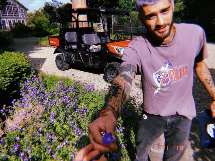 Zayn Malik 