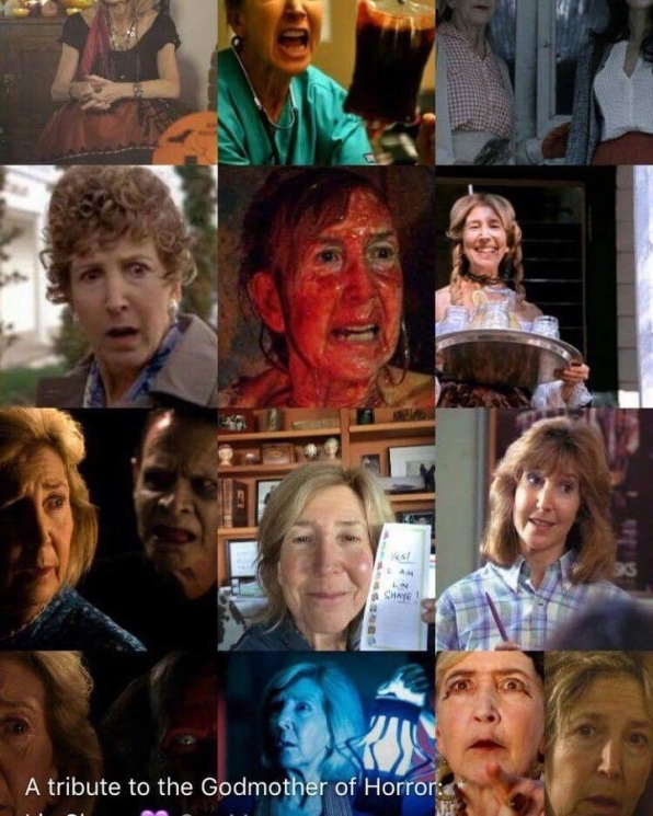Deretan film yang sudah dimainkan/ Instagram @linshaye