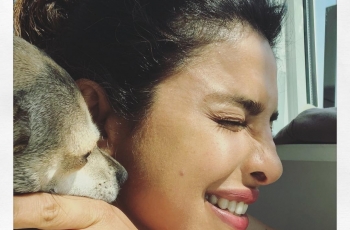Busyet, Ini Nominal yang Dikeluarkan Priyanka Chopra untuk Jaket Anjingnya