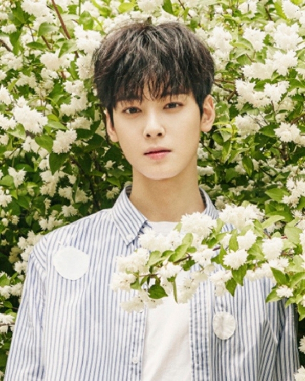 Cha Eun Woo Astro from kpopherald.com