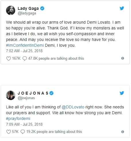 Demi Lovato Overdosis/Twitter