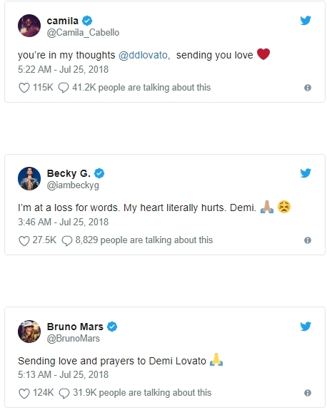 Demi Lovato Overdosis/Twitter