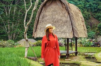 Ekspresi Selebriti Rayakan HUT ke-73 RI