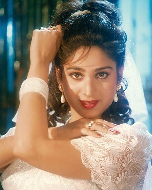 Meenakshi Shashadri (Instagram/@meenakshisheshadriamazing)