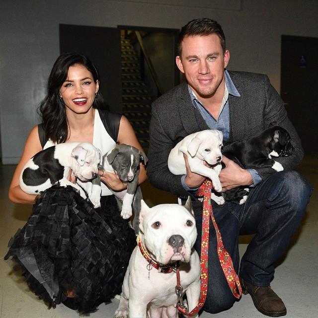 Channing Tatum dan Jenna Dewan (Instagram/@channingtatum)