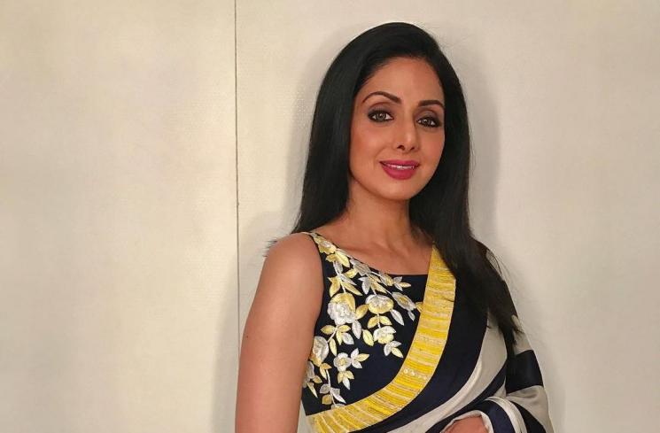 Sridevi (Instagram/@sridevi.kapoor)