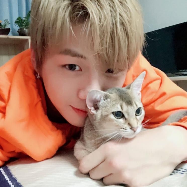 Binatang Peliharaan Kang Daniel Wanna One (Soompi)