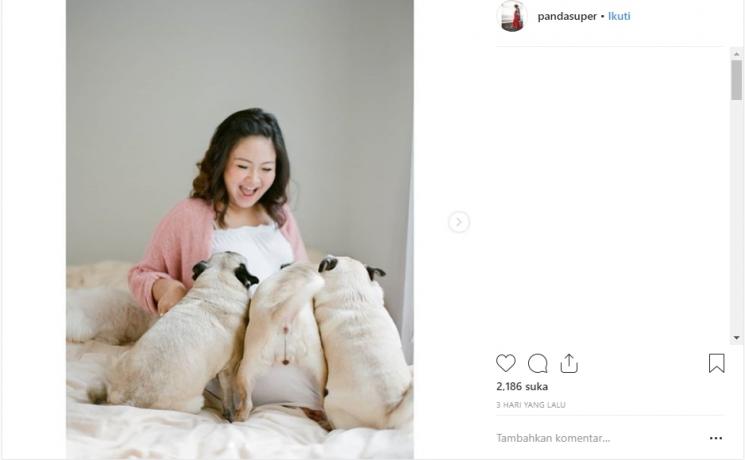 Cici Panda. (Instagram/@superpanda)