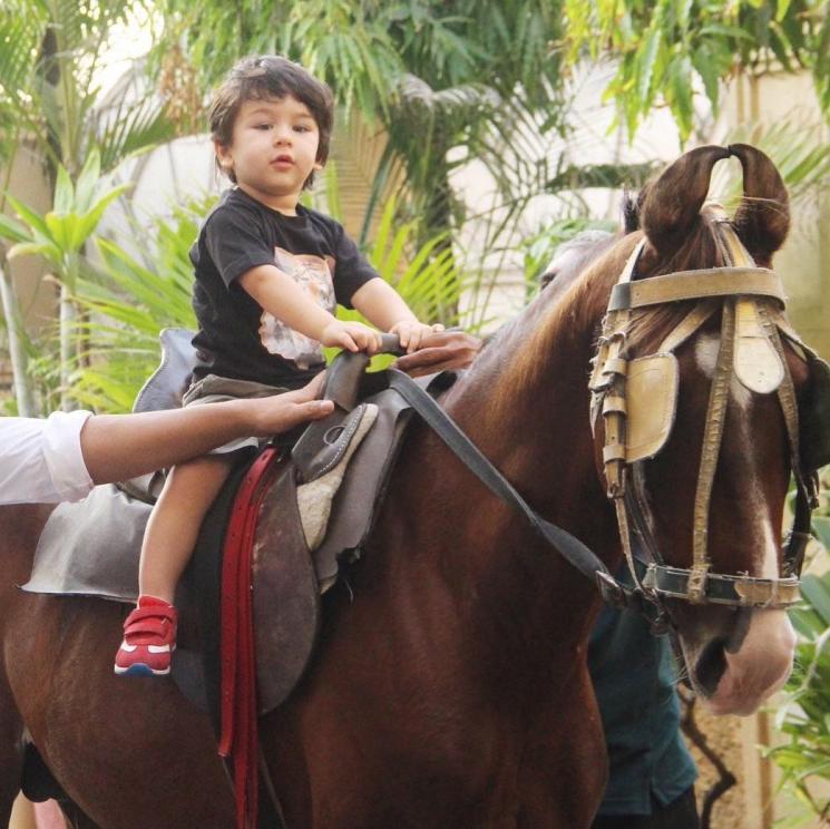 Taimur Ali Khan (Instagram/@taimuralikhanx)