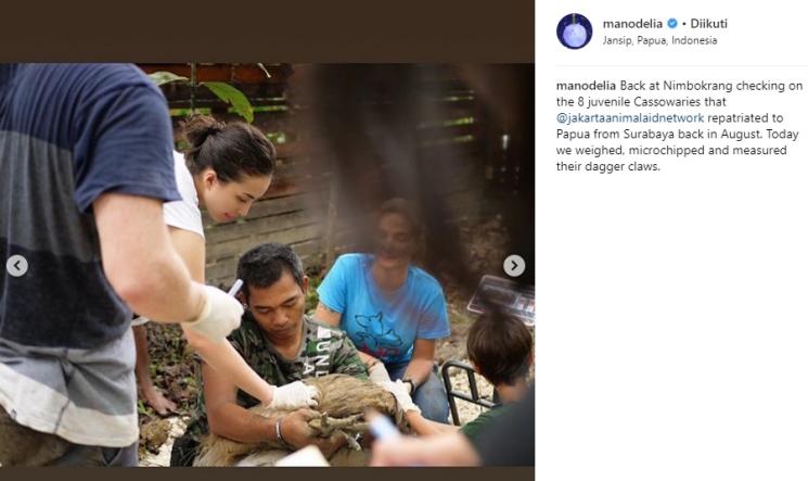 Kegiatan Manohara Odelia Pinot di dunia politik. (Instagram/@manodelia)
