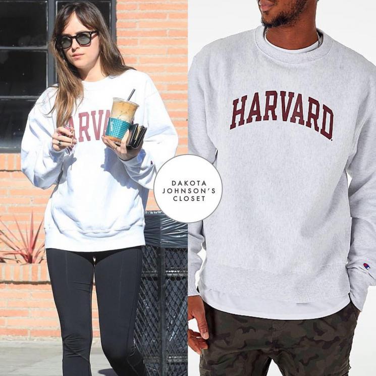 Fashion item Dakota Johnson. (Instagram/@dakotajohnsonscloset)