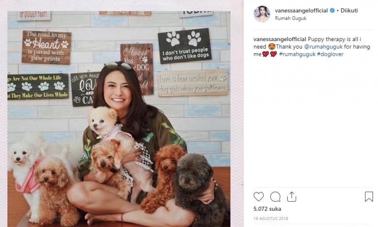 Vanessa Angel bersama anjing (Instagram/@vanessaangelofficial)