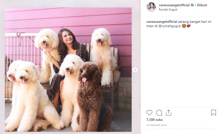 Vanessa Angel bersama anjing (Instagram/@vanessaangelofficial)