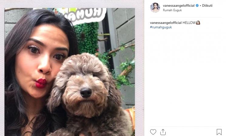 Vanessa Angel bersama anjing (Instagram/@vanessaangelofficial)