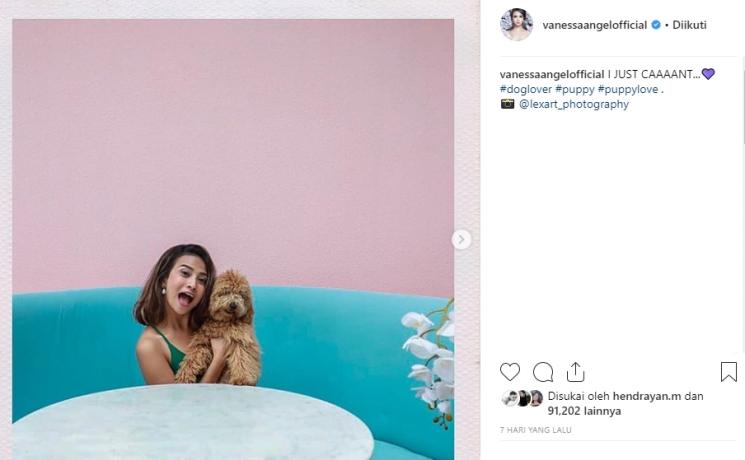 Vanessa Angel bersama anjing (Instagram/@vanessaangelofficial)