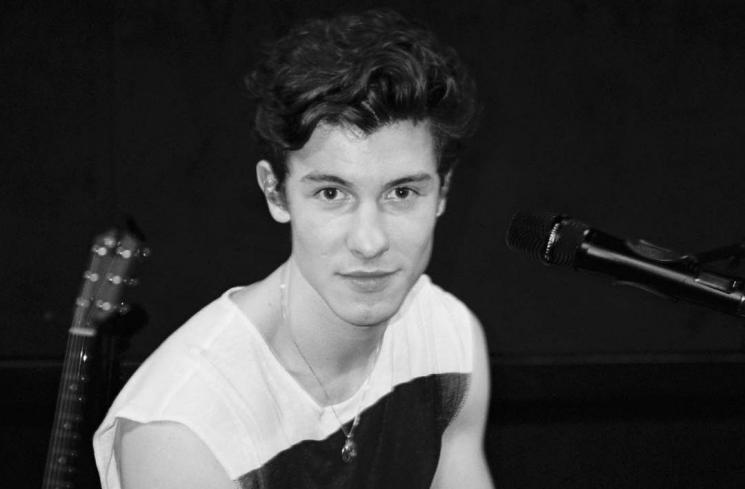 Shawn Mendes (Instagram/@shawnmendes)