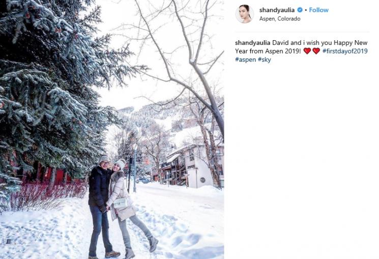 Shandy Aulia (Instagram/@shandyaulia)