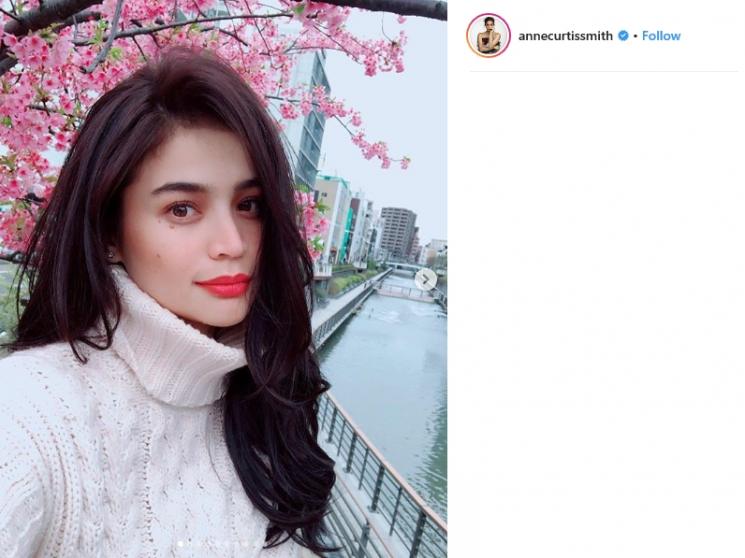 Anne Curtis Smith (Instagram/annecurtissmith)