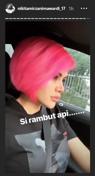 Nikita Mirzani dengan rambut pink nyentriknya. (Intagram/@nikitamirzanimawardi17)