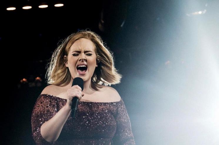Adele. (Instagram/@adele)