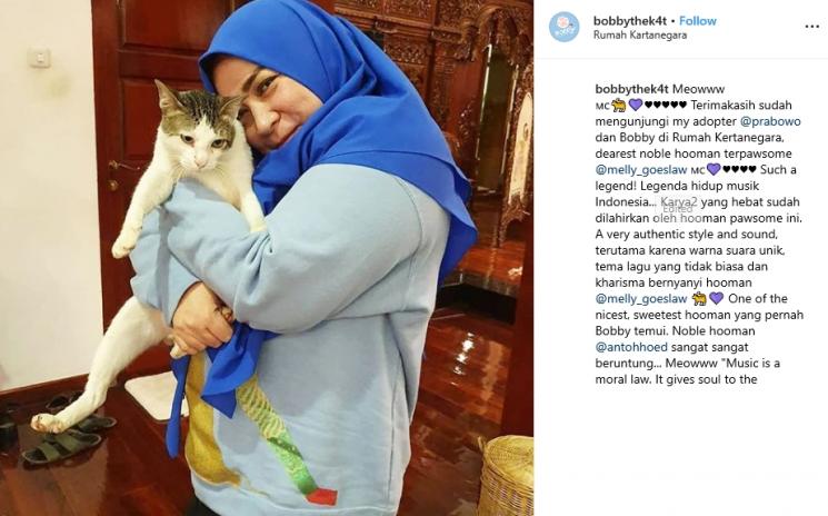 Melly Goeslaw Gendong Kucing Prabowo (Instagram/@bobbythek4t)