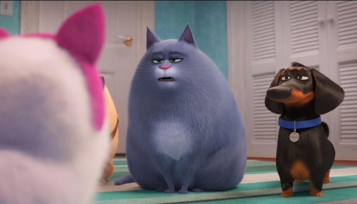 The Secret Life of Pets. (Youtube/@Illumination)