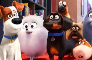 The Secret Life of Pets 2: Kisah Cinta Tanpa Syarat Seekor Anjing ke Majikan