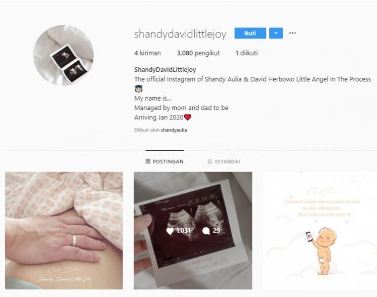 Akun Instagram jabang bayi Shandy Aulia. (Instagram/@shandydavidlittlejoy)