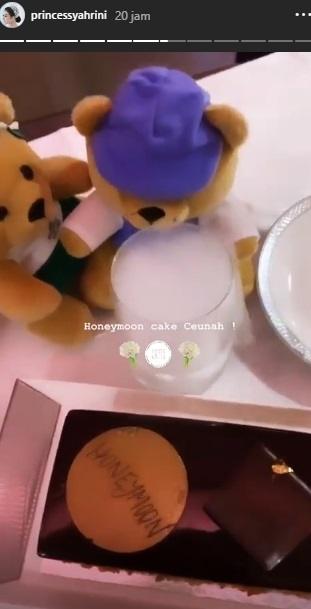 Syahrini pamer kabin mewah pesawat. (Instagram/@princessyahrini)