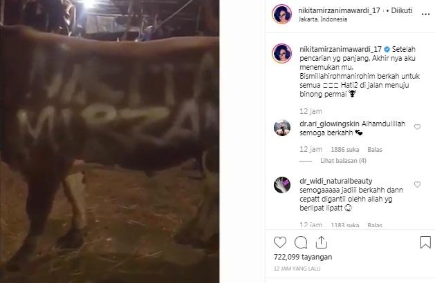Penampakan sapi kurban Nikita Mirzani. [Instagram]