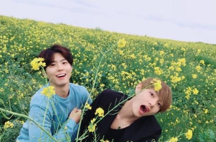 Park Bo Gum, teman dekat V BTS. (Koreaboo.com)