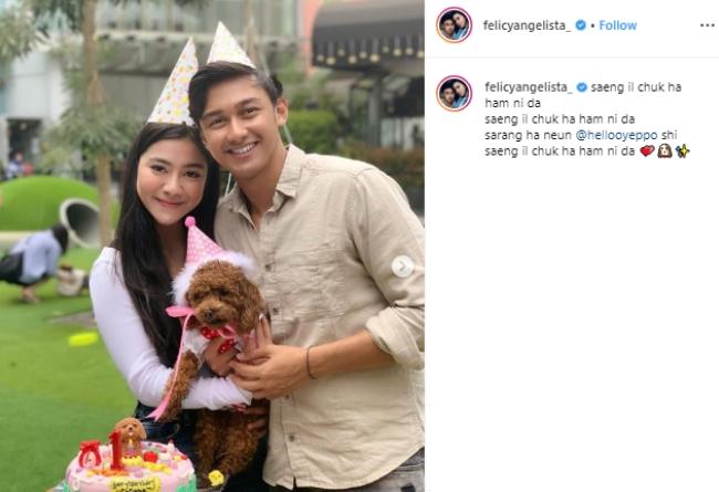 Ulang tahun anjing Felicya Angelista, Yeppo. (Instagram/@felicyangelista_)
