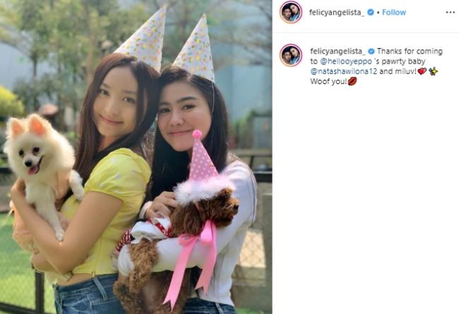 Ulang tahun anjing Felicya Angelista, Yeppo. (Instagram/@felicyangelista_)