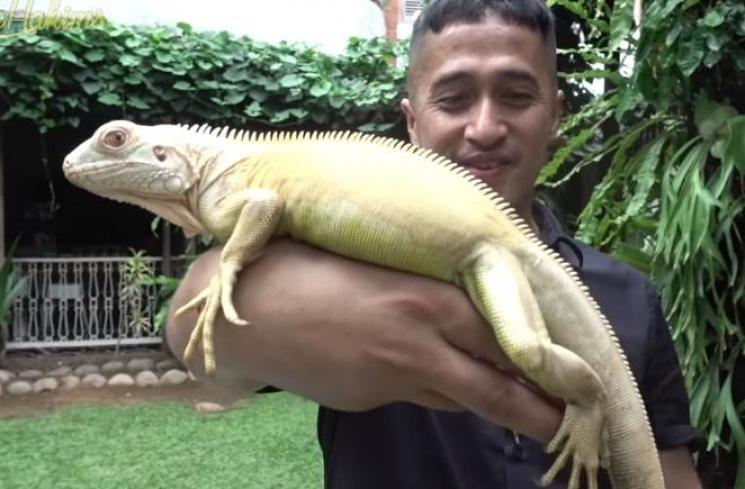 Irfan Hakim. (Youtube/deHakims)