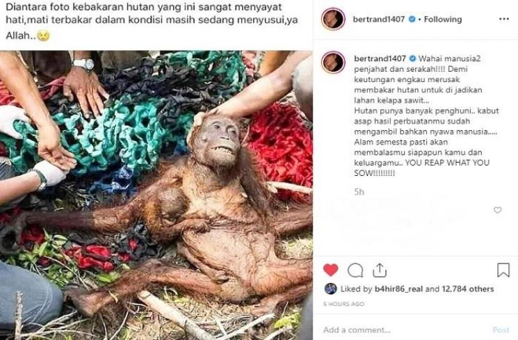 Tanggapan Bertrand Antolin soal Kebakaran Hutan (Instagram @bertrand1407)