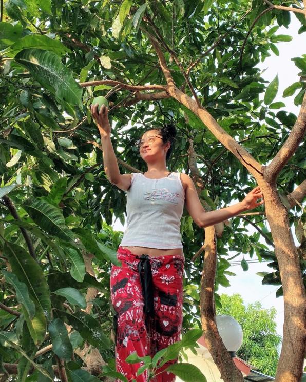 Dewi Perssik panjat pohon mangga. (Instagram/@dewiperssikreal)