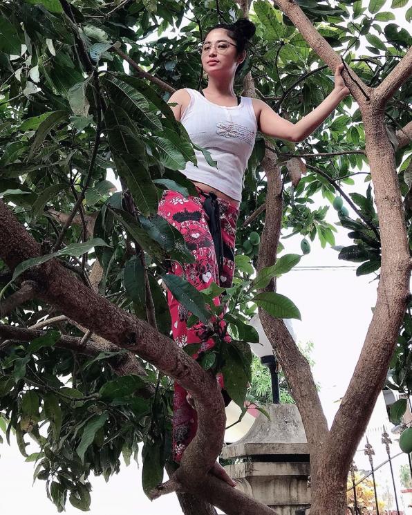 Dewi Perssik panjat pohon mangga. (Instagram/@dewiperssikreal)