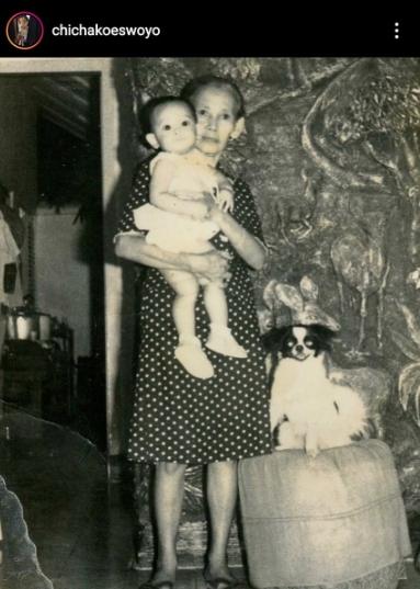 Potret anjing bernama Heli di lagu anak-anak (Chirpstory.com)