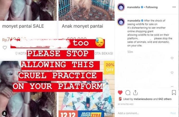 Kekesalan Manohara melihat hewan dijual di e-commerce (Instagram @manodelia)